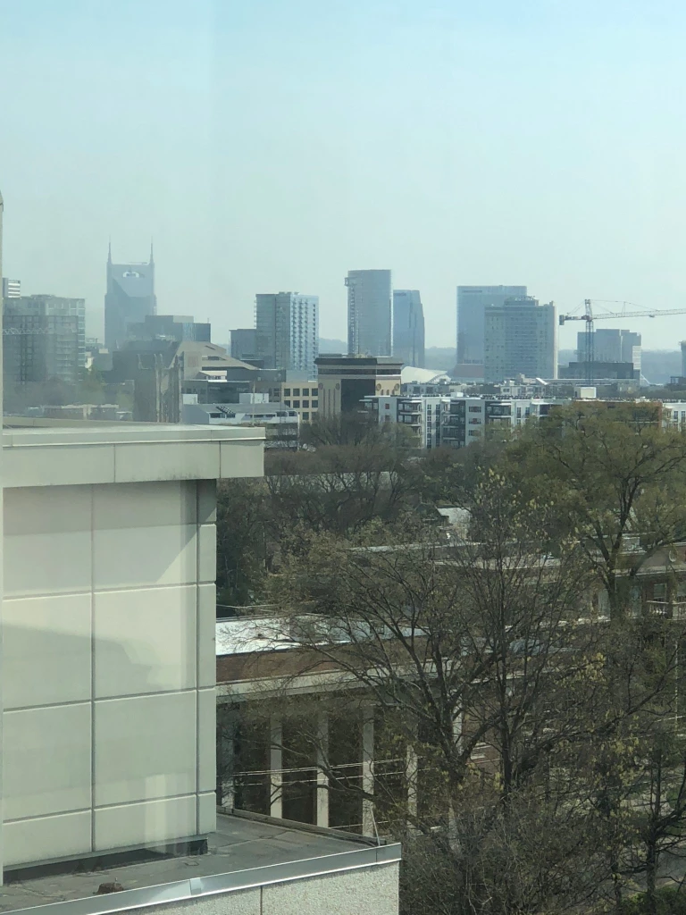 A recent photo of downtown Nashville taken from my research building. Although the mezzanine has been replaced, the view is amazing on a clear day. In the distance you can see the AT&T Building, which Nashvillians call the Batman Building. (Photo credit: Sherry Ameli)