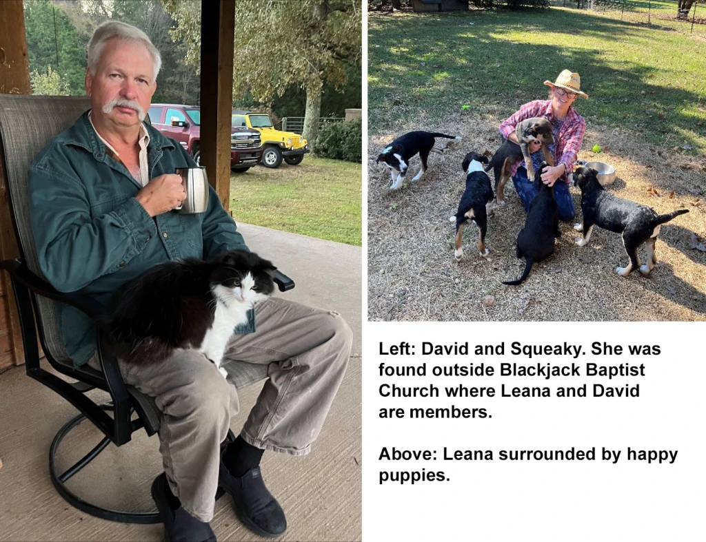 The puppies at the pitch-in immediately before Leana and David brought them to their farm.