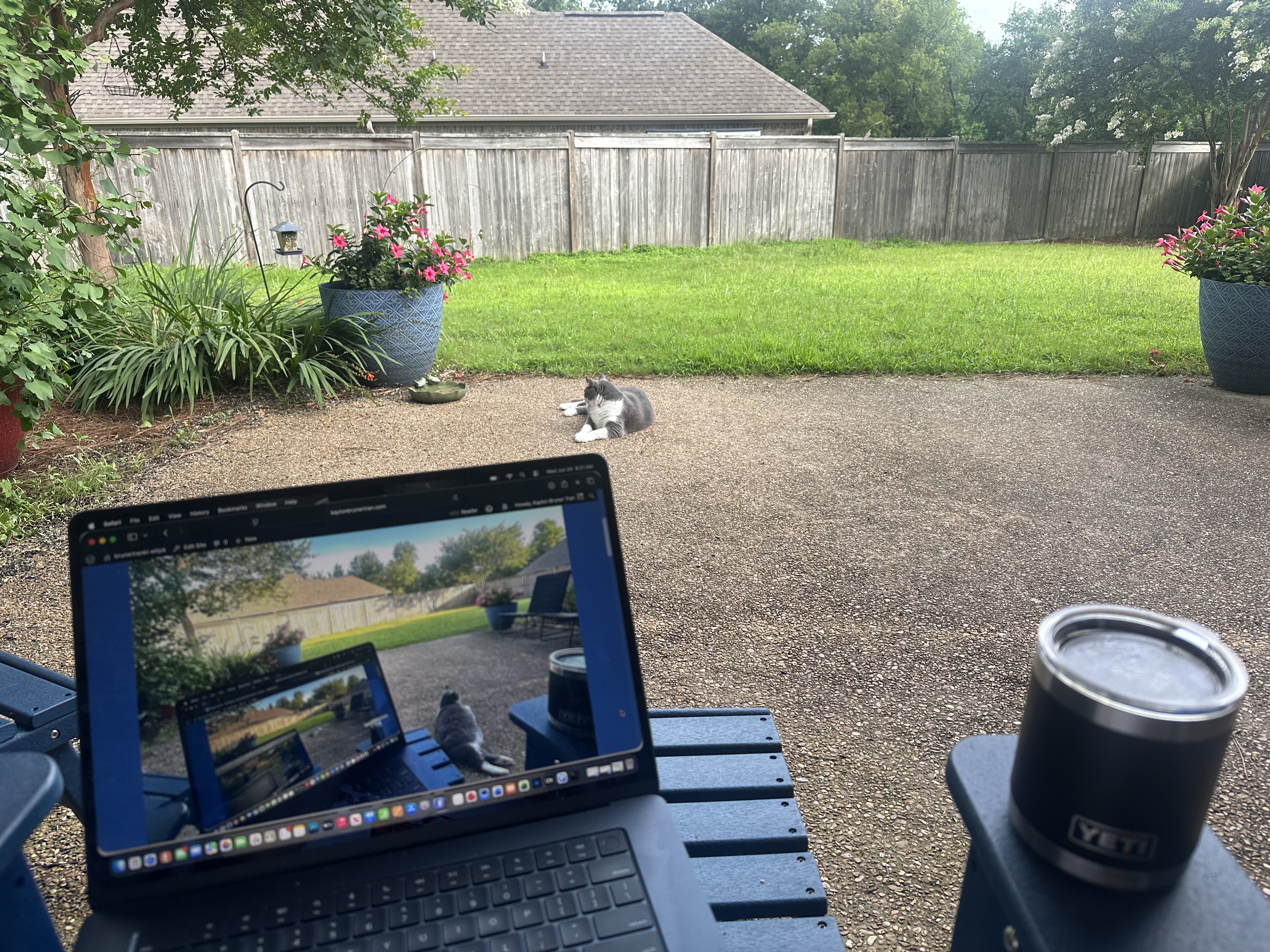 IMG_2241 View of an outdoor patio with a computer and lazy cat.